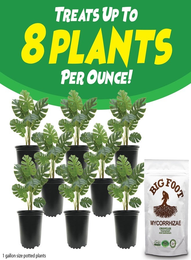 Big Foot Granular (4 oz) - Image 5