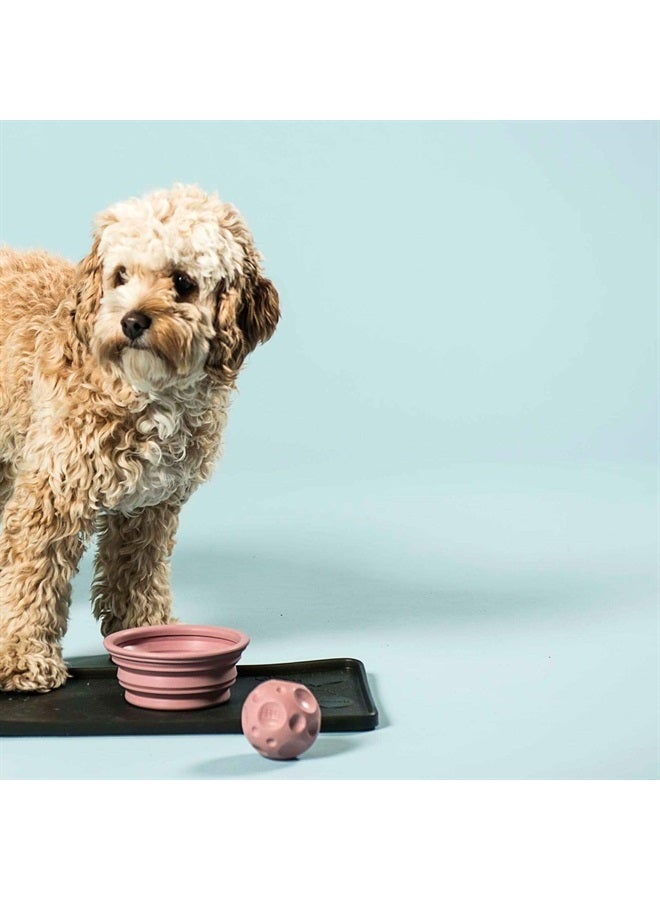 Hevea Collapsible Portable Dog Bowl - Made from 100% Natural Rubber - Portable Water Bowl for Dogs Cats Pet - Foldable Feeding Watering Dish for Traveling Camping Walking - BPA Free (Pale Mint)