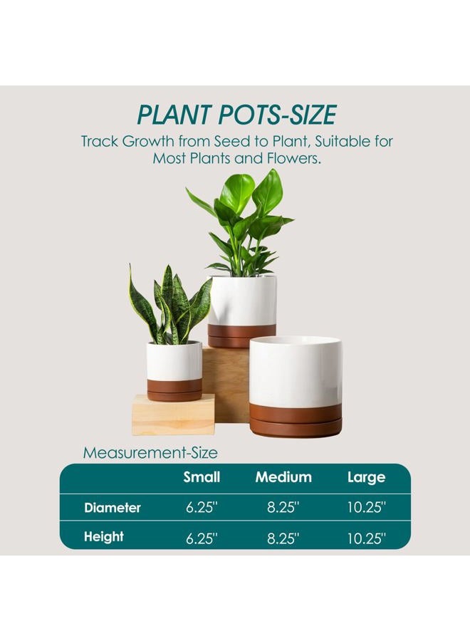vancasso Ceramic Pots for Plants, Plant Pots for Indoor Plants, 6.25+8.25+10.25 Inch Ceramic Planters, Flower Pots with Drainage Holes, Planters Pot for Indoor House Plants, Set of 3, Khaki - Image 2