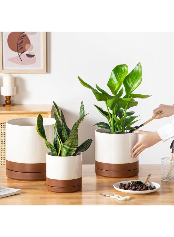 vancasso Ceramic Pots for Plants, Plant Pots for Indoor Plants, 6.25+8.25+10.25 Inch Ceramic Planters, Flower Pots with Drainage Holes, Planters Pot for Indoor House Plants, Set of 3, Khaki - Image 5