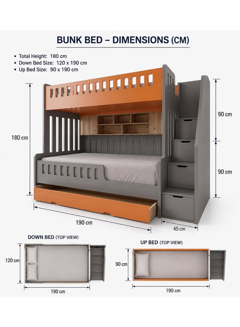 سرير بطابقين للأطفال ، لون أسفل \ 120 * 190 سم ، ما يصل / 90 * 190 سم ، خشب MDF محلي ، [بدون مرتبة] - Image 3