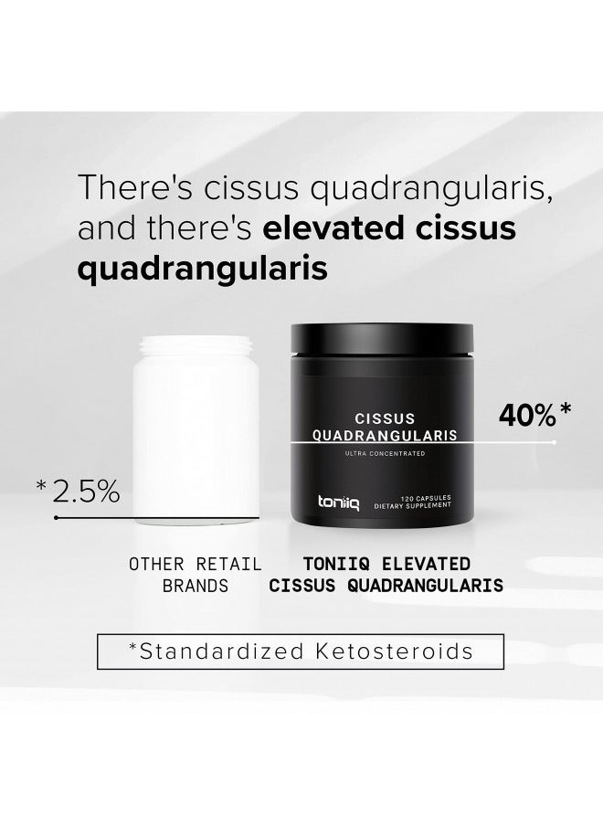 Toniiq - Toniiq Cissus Quadrangularis Capsules - Min. 40% Ketosteroids - Ultra High Strength Tendon and Joint Support Supplement - 1200mg Concentrated Cissus Extract - Wild Harvested in India - 120 Caps - Image 1