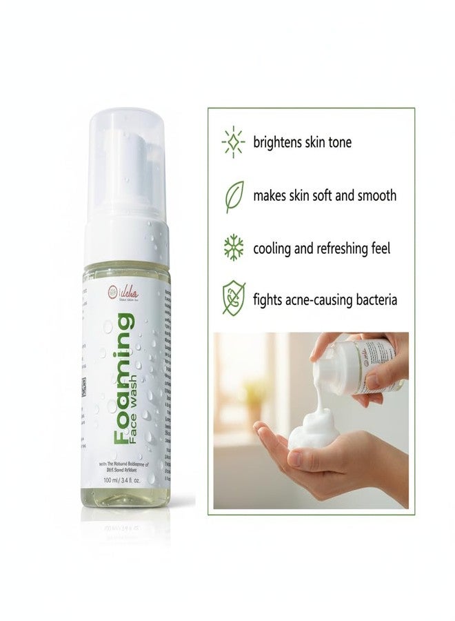 ILIKA Foaming Face Wash for Daily Use | Gentle Cleansing & Refreshing Face Cleanser with Hyaluronic Acid & Green Tea | Suitable for Regular Use | 100 ml - Image 3
