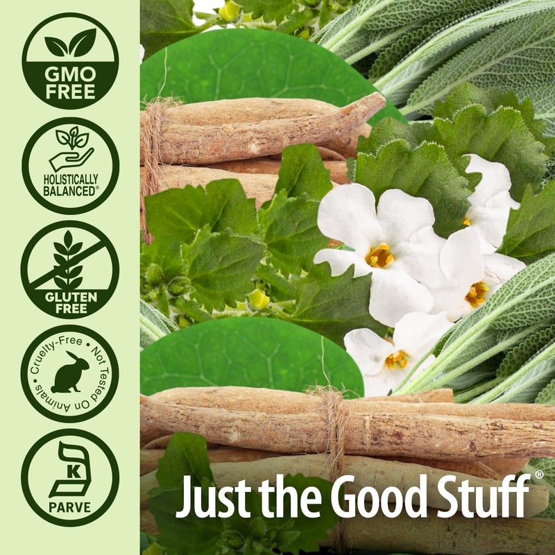 Nature's Answer Cognimax Vegetarian Capsules, 60 Count - Supports Memory & Concentration - Image 5