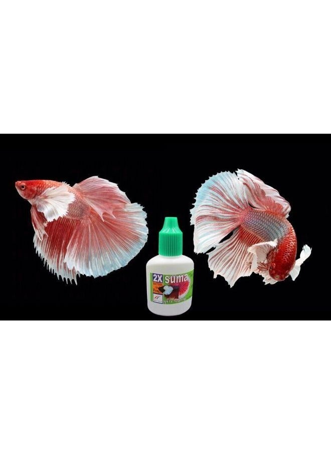 Suma - Betta 12 ML Bacteria and Fungus Quickly Recovery Wound Healing Prevention Infection - Image 1