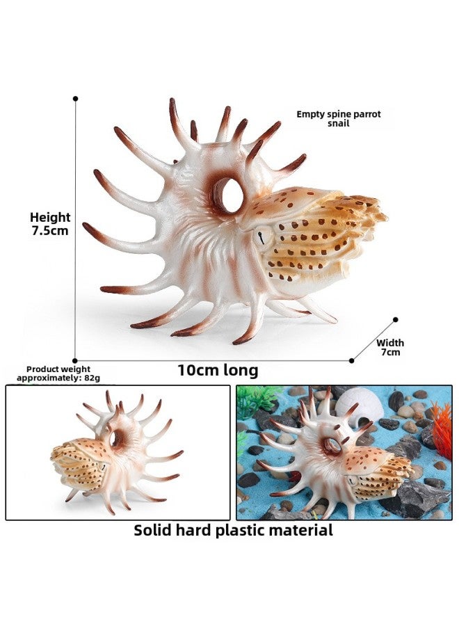 Realistic Animal Models Ocean Crabs Salty Crabs Hermit Sally Three-point Plastic Cognitive Toys-Color:M-3029 Empty Ridge Nautilus - Image 1