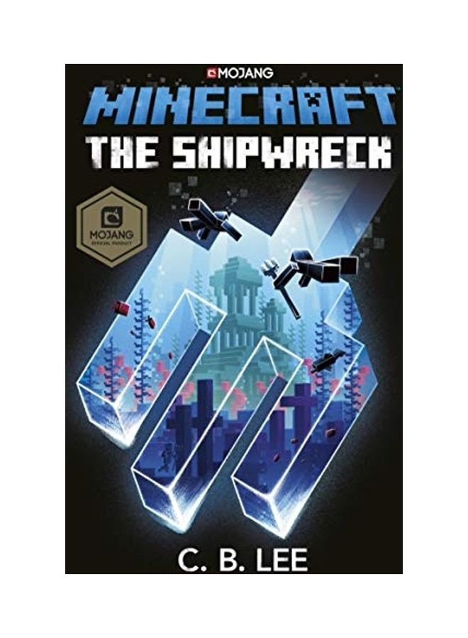 Minecraft The Shipwreck