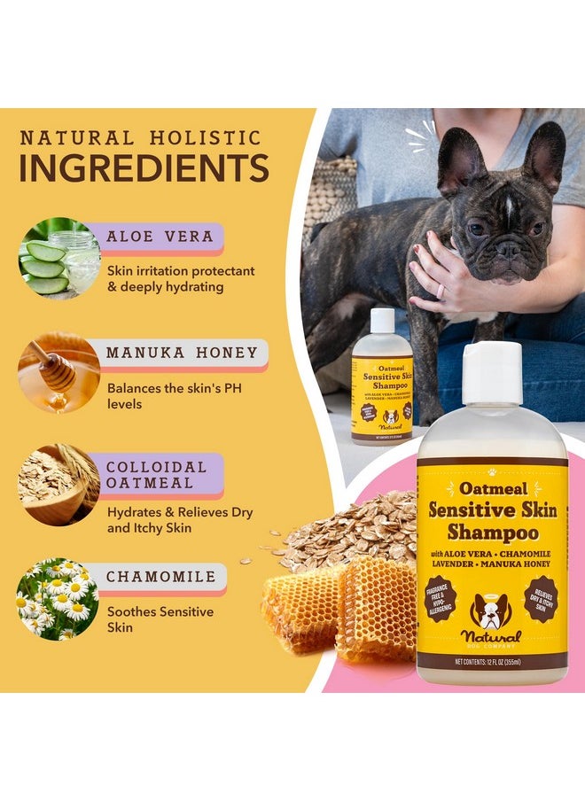  شركة Natural Dog - شامبو الشوفان للكلاب ذات البشرة الحساسة، شامبو مثالي مضاد للحكة للكلاب وشامبو للجراء، شامبو الشوفان لتخفيف الحكة وقشرة الرأس للكلاب، شامبو الصبار لتخفيف حكة الجلد للكلاب 12 أونصة - Image 1