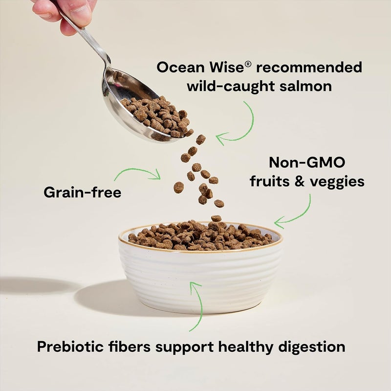 Open Farm طعام قطط جاف من سمك السلمون البري خالي من الحبوب - 4 رطل (1.81 كجم) - Image 4