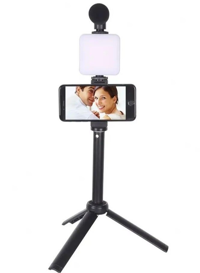 W020 AY-49T Flexible Phone Tripod with Microphone Filling Light Selfie Vlogging Kit - Image 1