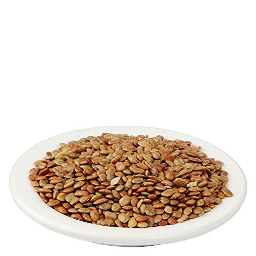 Yuvika Kulthi - Macrotyloma Uniflorum - Horse Gram 400 Grams - Image 2