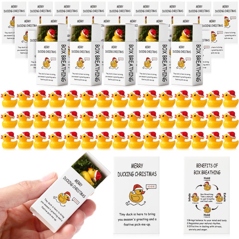 Cinnvoice 50 Sets Christmas Bulk Gifts for Coworkers Mini Lucky Duck with Box for Employee Gifts Encouragement Breathing Appreciation Emotional Cheer Tiny Pocket Animal for Group Teams Duck - Image 2