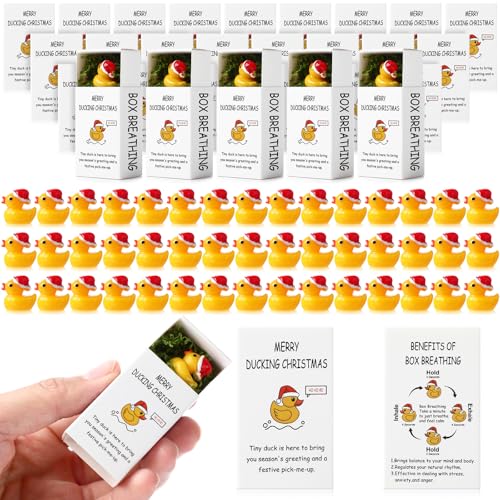 Cinnvoice 50 Sets Christmas Bulk Gifts for Coworkers Mini Lucky Duck with Box for Employee Gifts Encouragement Breathing Appreciation Emotional Cheer Tiny Pocket Animal for Group Teams Duck - Image 1