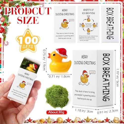 Cinnvoice 50 Sets Christmas Bulk Gifts for Coworkers Mini Lucky Duck with Box for Employee Gifts Encouragement Breathing Appreciation Emotional Cheer Tiny Pocket Animal for Group Teams Duck - Image 3