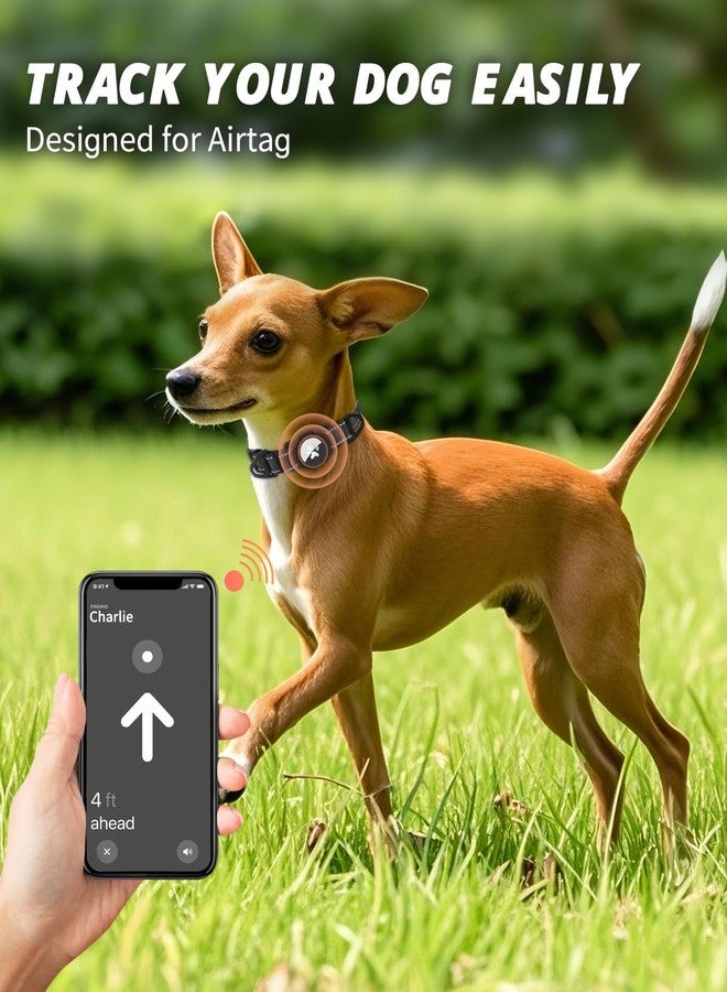 Joytale Airtag Dog Collar, Reflective Pet Collar with Waterproof AirTag Holder, Dual D-Rings, Soft Padded Adjustable for Small Dogs, Black, S - Image 2