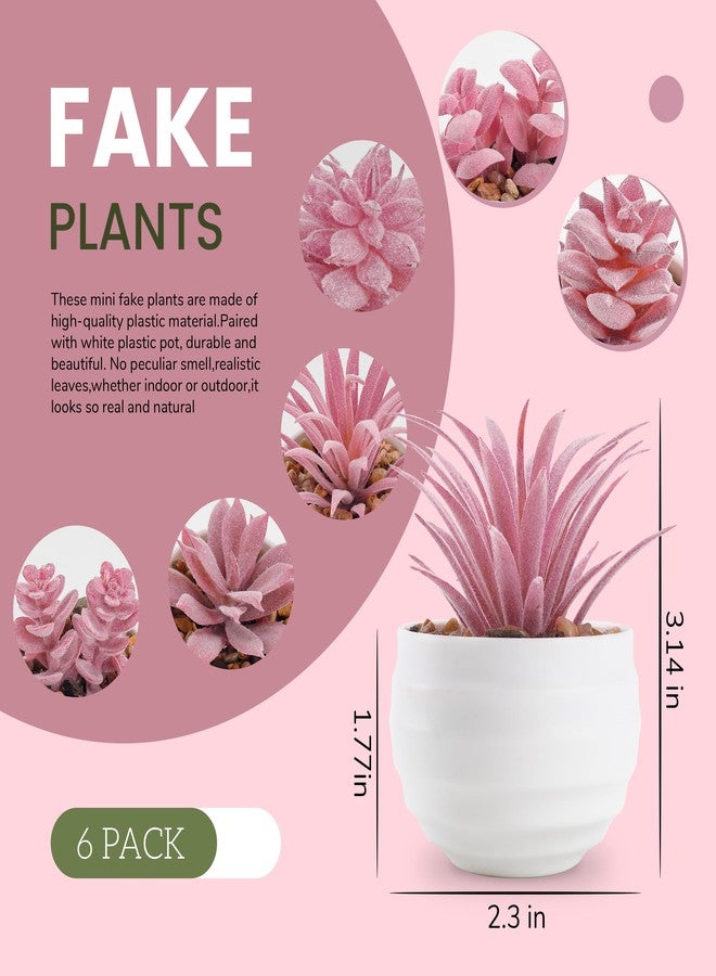 Der Rose Set of 6 Succulents Plants Artificial in Pots Small Fake Plants for Halloween Decorations Bedroom Living Room Office Shelf Black Bathroom Decor - Image 3