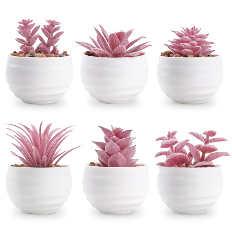 Der Rose Set of 6 Succulents Plants Artificial in Pots Small Fake Plants for Halloween Decorations Bedroom Living Room Office Shelf Black Bathroom Decor - Image 1