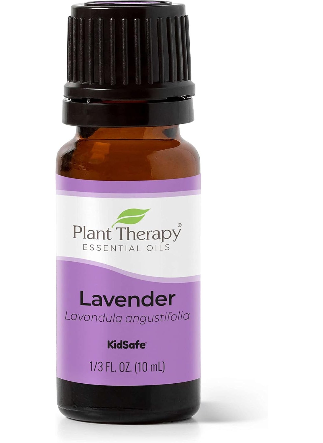 Plant Therapy Plant Therapy Lavender Essential Oil 100% Pure, Undiluted, Therapeutic Grade, Aromatherapy Diffuser for Relaxation and Body Care, Healthy Skin and Hair, 10 mL (1/3 oz) 