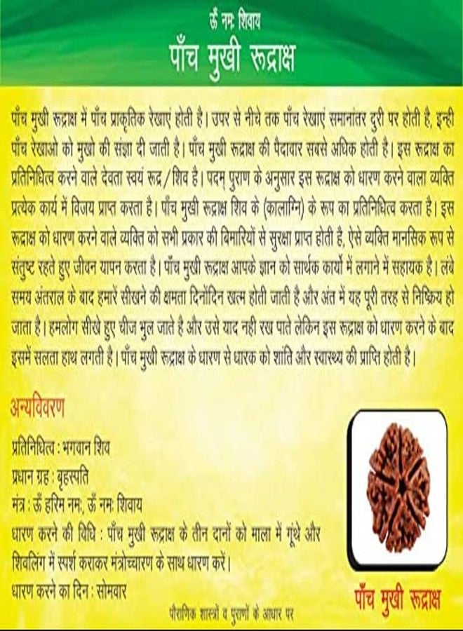 9STARS 5 Mukhi نيبالي أصلي معتمد Rudraksha 17 مم غطاء पांच मुकी नेपाली रुग्राक्ष सिल्वर पेंडANT के साथ Panch Mukhi Rudraksh خرزة بنية بخمسة وجوه - Image 5