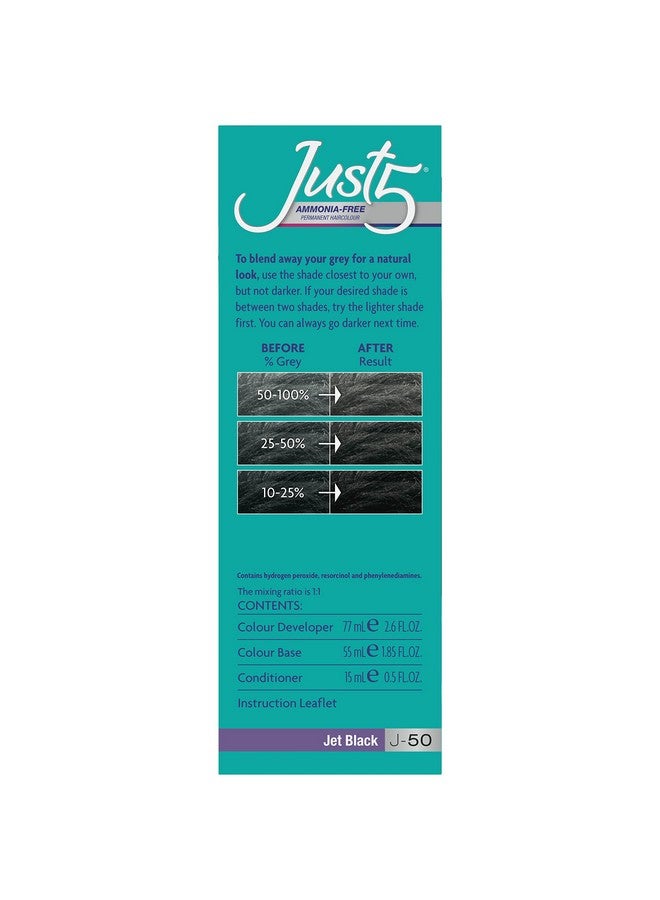 Just 5 Women'S 5 Minute Permanent Hair Color With Conditioner Grey Hair Coloring For Women Jet Black - Image 3
