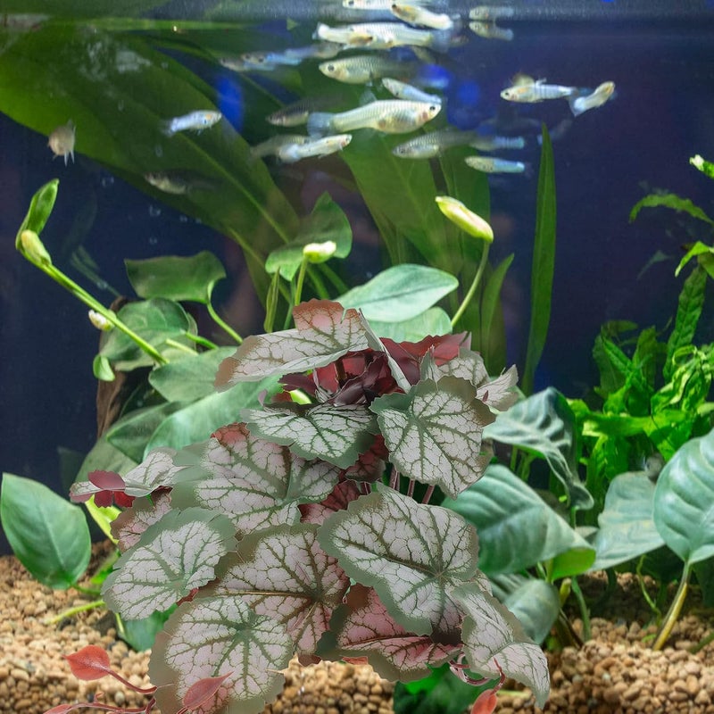 SUPVOX Turtle Tank Kit Snake Tank Accessories Reptile Fake Plant Decor Landscaping Safe Material - Image 4