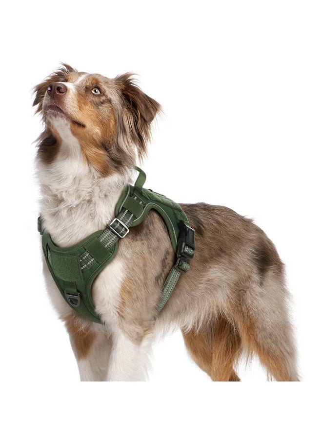 rabbitgoo Tactical Dog Harness Medium Sized Dog, No Pull Military Dog Harness with Handle & Molle, Easy Control Service Dog Vest Training Walking, Adjustable Reflective Tactical Pet Harness, Green, M - pzsku/ZD7C84FC90FB46BCD3643Z/45/_/1736426578/69a6d0e6-0f53-4bbb-89e1-ee008261565d