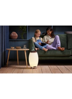 Synergy 35 Outdoor Light with Bluetooth Speaker, LED Lights