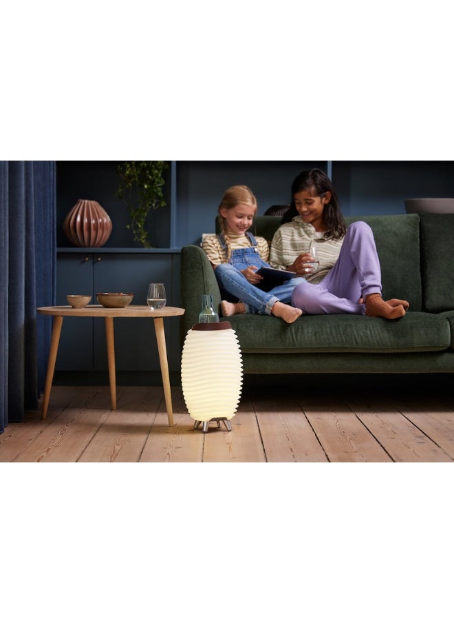 Kooduu - Synergy 35 Outdoor Light with Bluetooth Speaker, LED Lights - Image 1