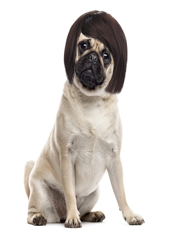 Cobee Funny Dog Cat Cosplay Wig, Pet Wig-Adjustable Costume Pet Funny Headwear Costumes Headgear for Small Medium Large Dog Cat Wigs Dress Up Decorations for Halloween, Christmas, Parties, Festivals - Image 1