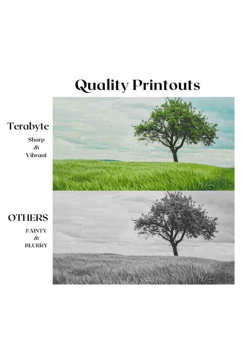 Terabyte TONER CARTRIDGE TN210 CYAN - Image 4