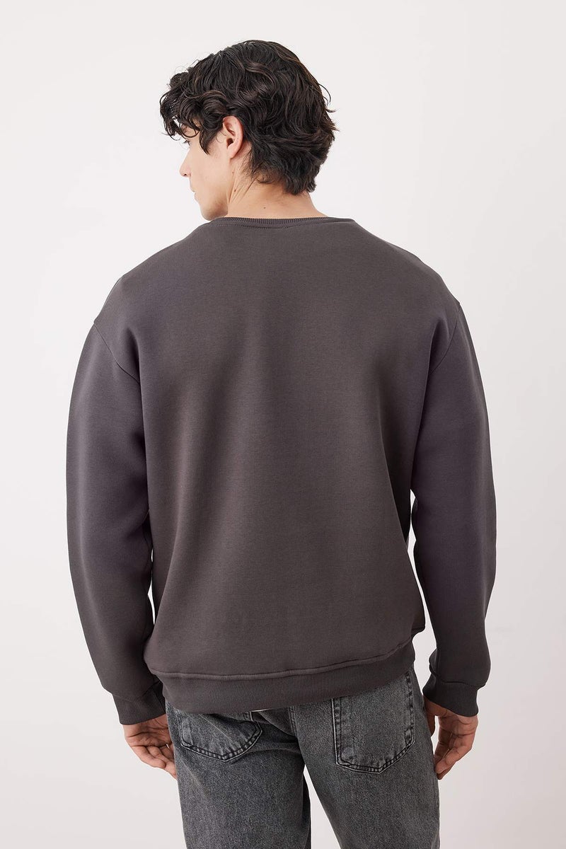 trendyol Anthracite Crew Neck Oversize/Wide Cut Fleece Inside Penguin Embroidery Sweatshirt - Image 4