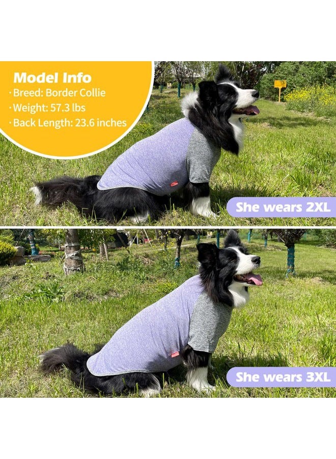 KYEESE 2 Pack Dog Shirts for Large Dogs Quick Dry Breathable Lightweight Stretchy Dog T-Shirt with Reflective Label Raglan Sleeve Pet Clothes Sun Protection, Purple+Grey, 3XL - Image 2