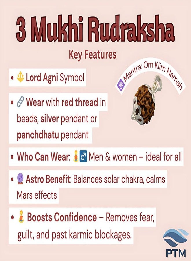 PTM 3 Mukhi Rudraksha Pendant | Teen Mukhi/Three Face Original Nepali Bead 925 BIS Hallmark Sterling Silver Cap Pendant | Certified Natural Rudraksha for Men & Women - Image 3