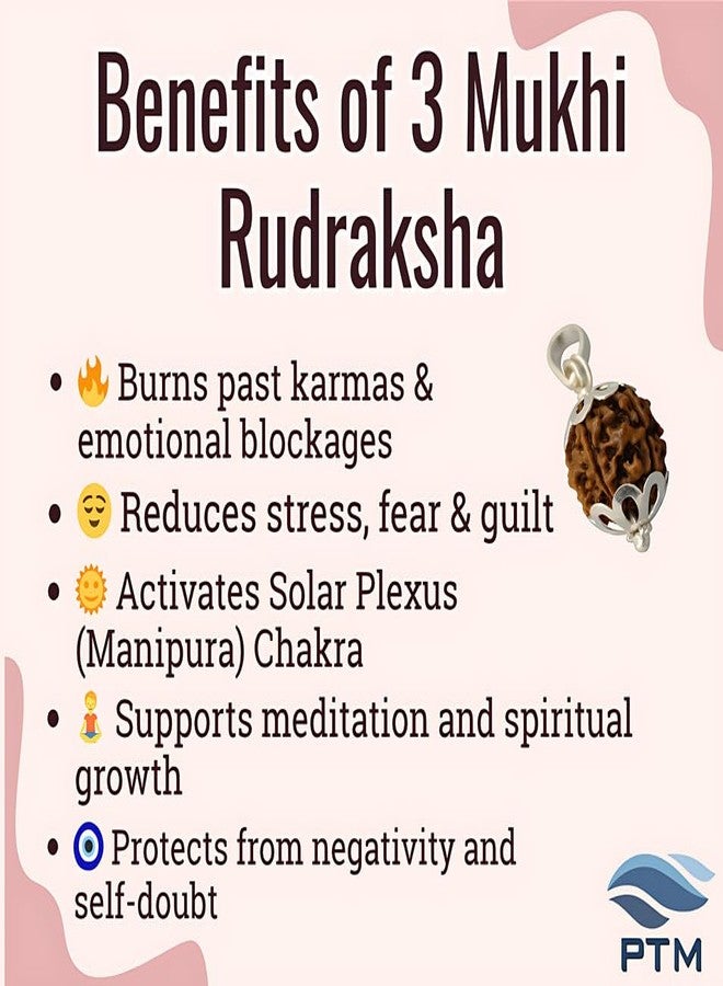 PTM 3 Mukhi Rudraksha Pendant | Teen Mukhi/Three Face Original Nepali Bead 925 BIS Hallmark Sterling Silver Cap Pendant | Certified Natural Rudraksha for Men & Women - Image 4