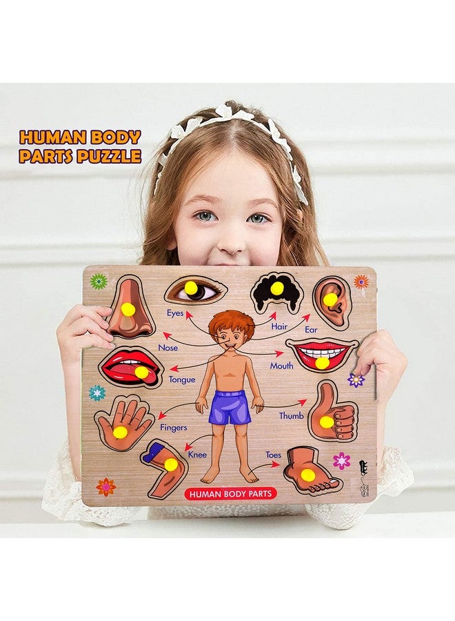 Lefan Wooden Puzzles Wooden Human Body Parts Puzzle Educational Anatomy Toy for Kids Educational Montessori Learning Puzzle for Toddlers & Preschoolers (Body Wooden Big) - Image 3