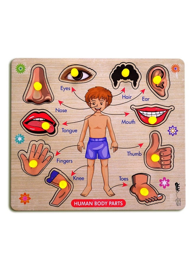 Lefan Wooden Puzzles Wooden Human Body Parts Puzzle Educational Anatomy Toy for Kids Educational Montessori Learning Puzzle for Toddlers & Preschoolers (Body Wooden Big) - Image 1