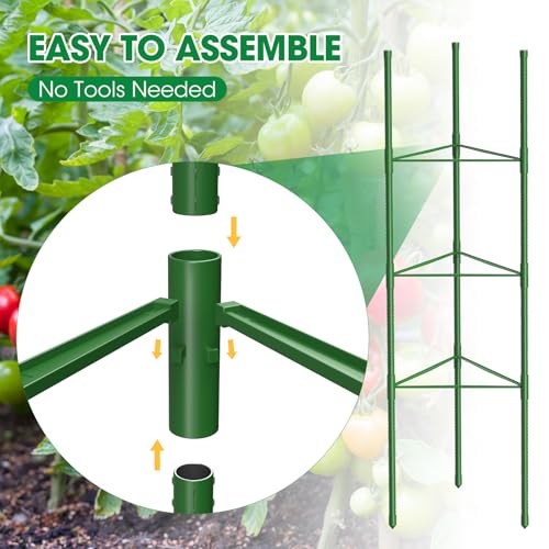 MQUPIN 6 Pack Tomato Cages, 51.2in Tomato Plant Support Stakes Heavy-Duty, Garden Tomato Cages & Trellis for Climbing Vegetables, Tomatoes, Peppers, and Potted Plants(6) - Image 5