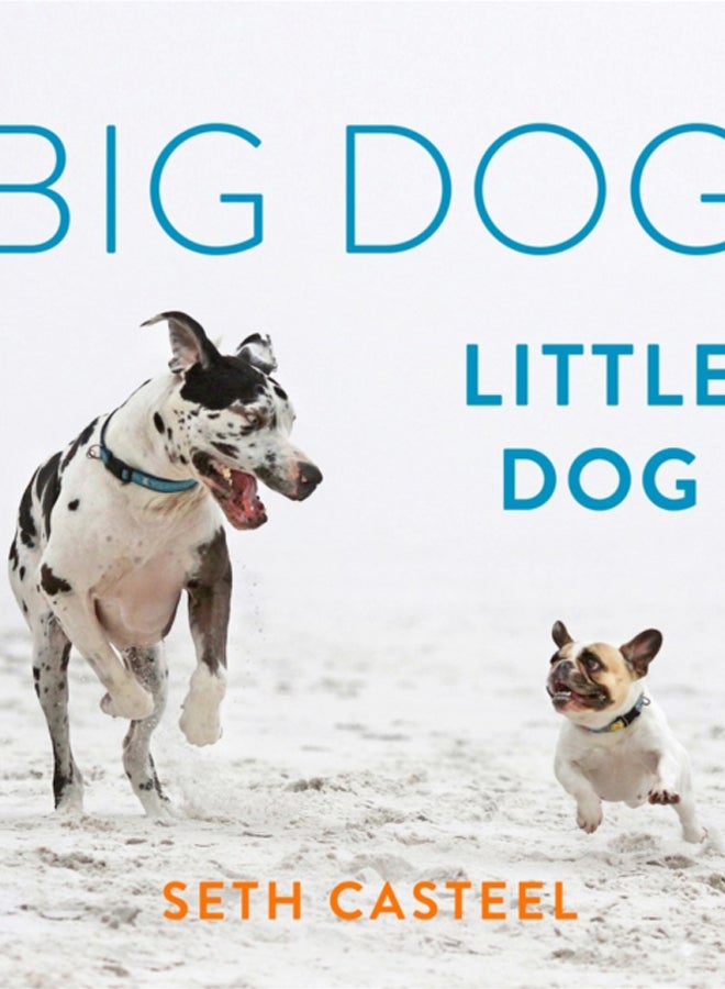 Big Dog, Little Dog 