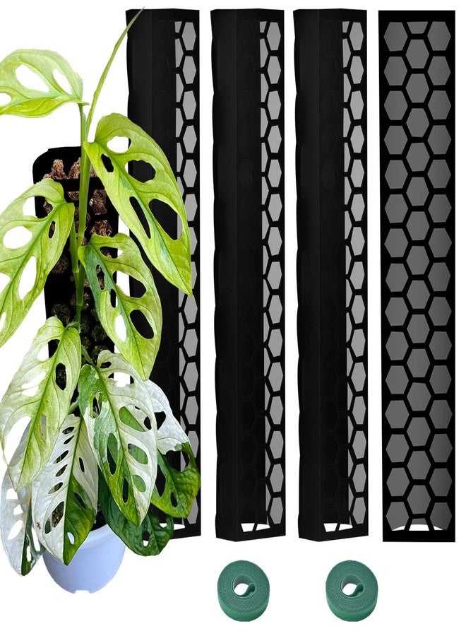 Haispring Plastic Moss Pole 4 Pcs Plant Stakes Extending to 62 Inch for Training Indoor Climbing Plants Such as Monstera to Grow Upwards-Use Plant Support Poles Work with Sphagnum Moss or Other soils - Image 1