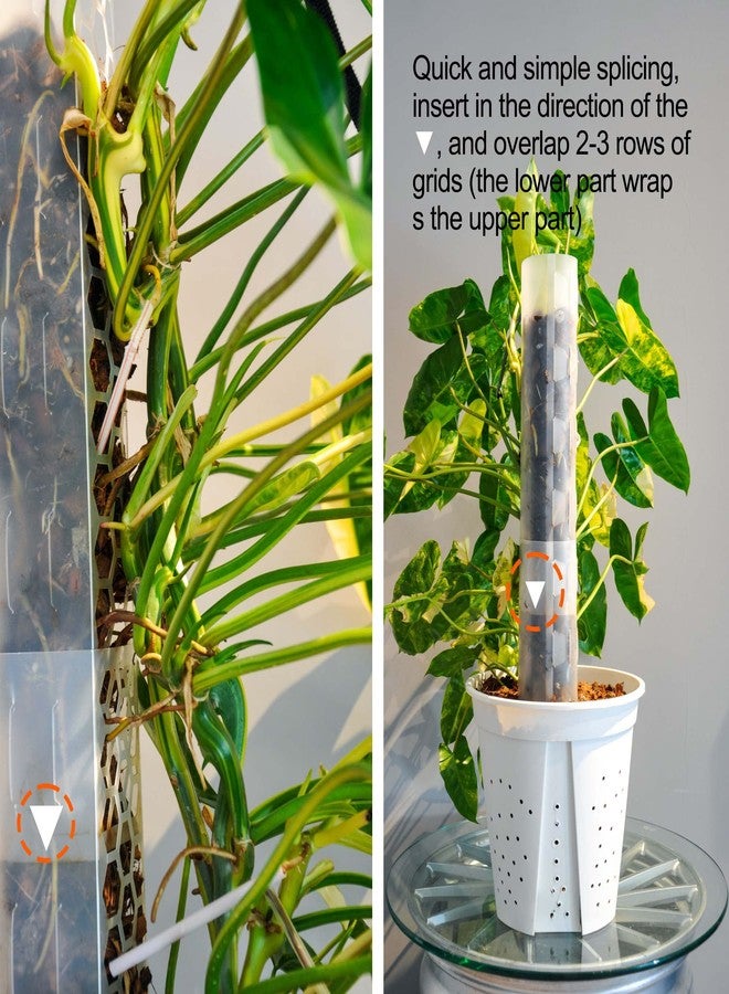 Haispring Plastic Moss Pole 4 Pcs Plant Stakes Extending to 62 Inch for Training Indoor Climbing Plants Such as Monstera to Grow Upwards-Use Plant Support Poles Work with Sphagnum Moss or Other soils - Image 3