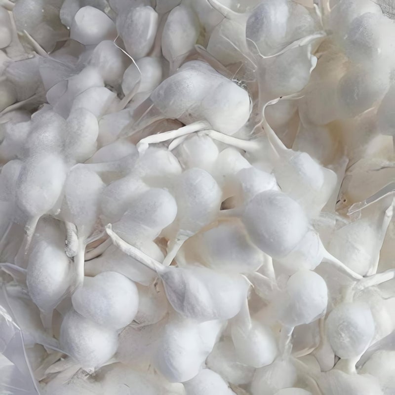 Hashcart Cotton Wicks for Puja Pooja Diya [ Assorted Color ] - Round Jyot Bati for Diwali Diya, Brass Kuber Diva, Clay Diva - Deya Bati for Akhand Jyot 100 pc, HashcartÂ® - Image 5