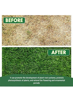 Aikanbo Plant Nutrient Solution, 4 Pack Garden Safe Nutrient Solution, 38 ml Plants Growing from Cuttings, Liquid Plant Fertilizer, Nutrients and Growth Promoters for Spraying Seedlings and Cuttings  - Image 2