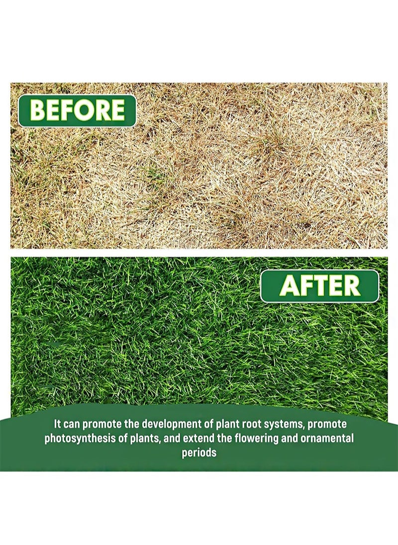 Plant Nutrient Solution, 4 Pack Garden Safe Nutrient Solution, 38 ml Plants Growing from Cuttings, Liquid Plant Fertilizer, Nutrients and Growth Promoters for Spraying Seedlings and Cuttings