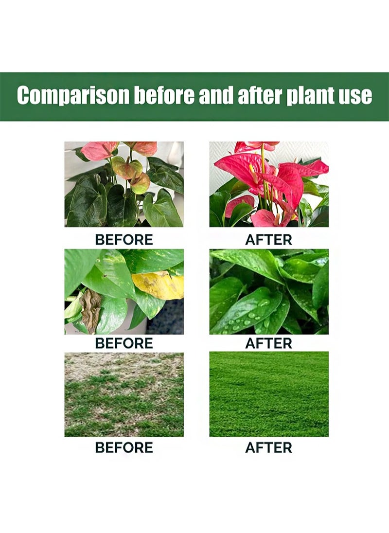 Plant Nutrient Solution, 4 Pack Garden Safe Nutrient Solution, 38 ml Plants Growing from Cuttings, Liquid Plant Fertilizer, Nutrients and Growth Promoters for Spraying Seedlings and Cuttings