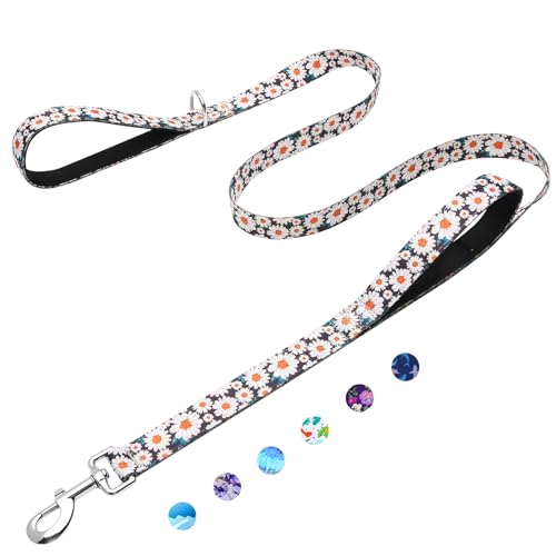 Fidohug 6ft Dog Leash with Two Padded Handles, Heavy Duty Strong Nylon Pet Leash with Soft Neoprene Handle for Small Medium Large Dogs, Daisy - Image 1