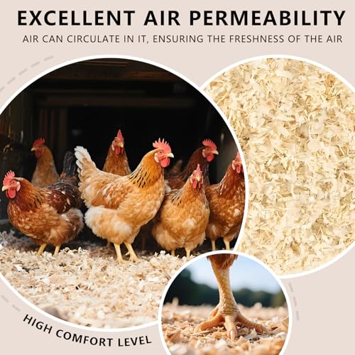 DOTUHAO Pine Shavings | Wood Shavings | Chicken Coop Bedding | All Natural | Chicken Coop | Chicken Bedding | Pet Bedding | Small Animal Bedding | Odor Control (2 LB) - Image 3