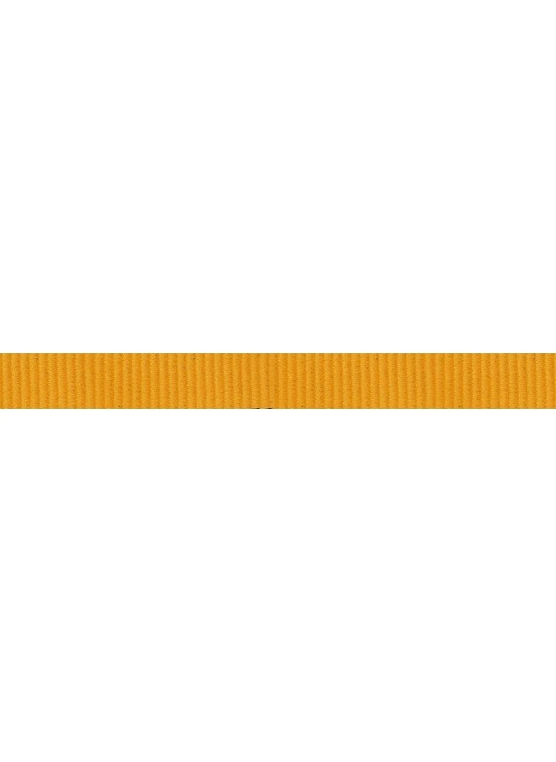 بيل Flat Tape 18 mm x 100 M Perlon Tape