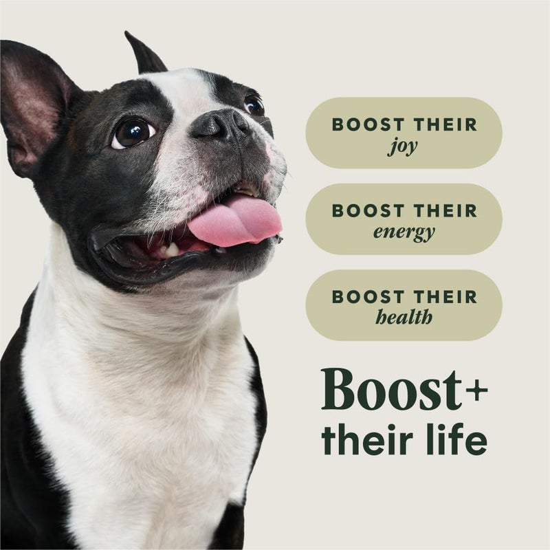 Instinct RawBoost Small Breed, Natural Dry Dog Food with FreshDried Raw, High Protein, Grain-Free Recipe - Real Chicken, 3.5 lb. Bag - Image 4