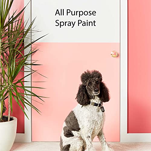 Krylon K05556007 COLORmaxx Spray Paint and Primer for Indoor/Outdoor Use, Satin Ballet Slipper Pink - Image 5