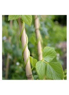 LINGWEI Natural Thick Bamboo Stakes Garden Vine Plant Stakes Flowers Plants Support Canes Poles Dowel Rod Wooden Crafts Sticks((100cm)(10pcs))  - Image 3